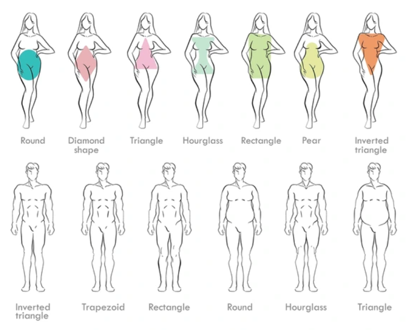 Body Types
